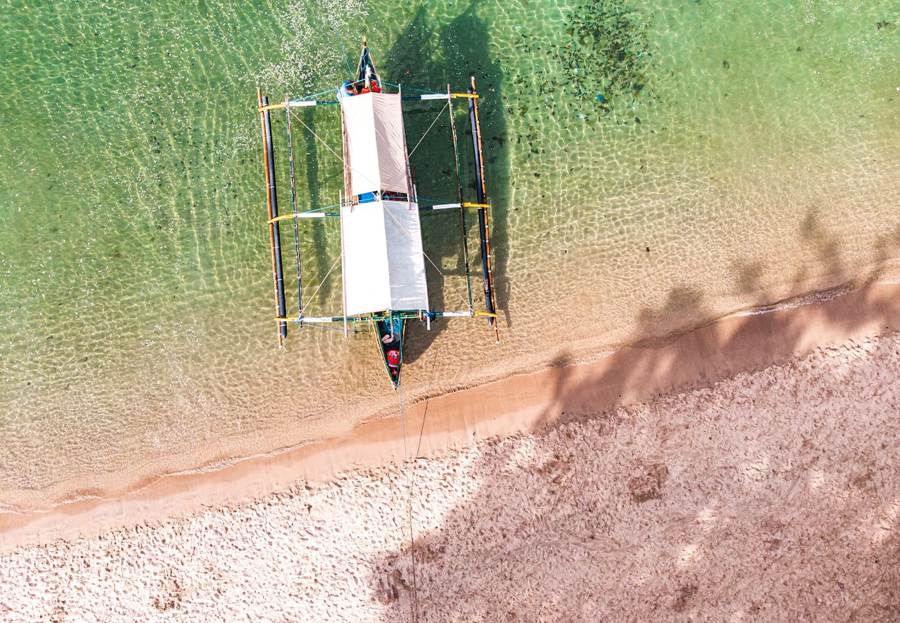 Pexels Photo 12725545