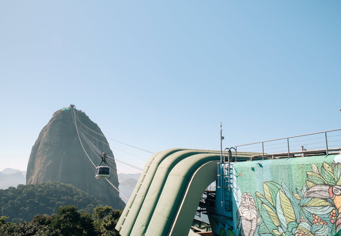 Pexels Photo 17782059